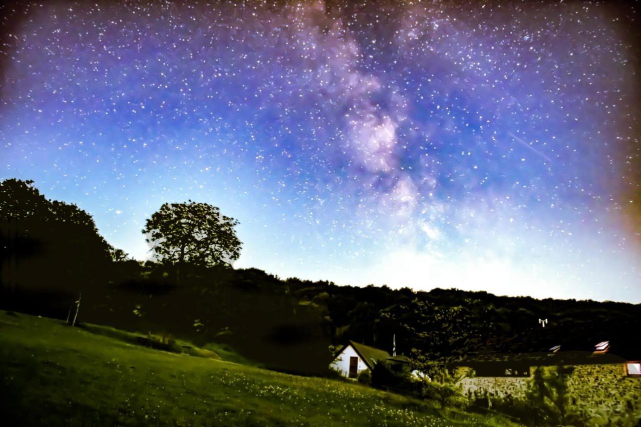 卡伦普顿The Roost - A Bird'S Eye View In The Countryside公寓 外观 照片